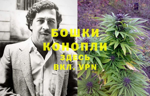 ПСИЛОЦИБИНОВЫЕ ГРИБЫ Заволжск