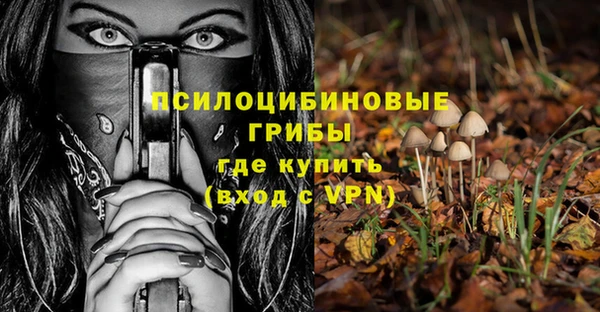 мяу мяу мука Заводоуковск
