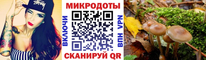 Галлюциногенные грибы Cubensis  купить   Элиста 