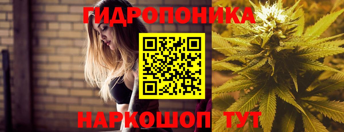 Канабис White Widow  Шишки марихуана VHQ  Марихуана Ganja  Вход с VPN  Бошки марихуана VHQ  Элиста 